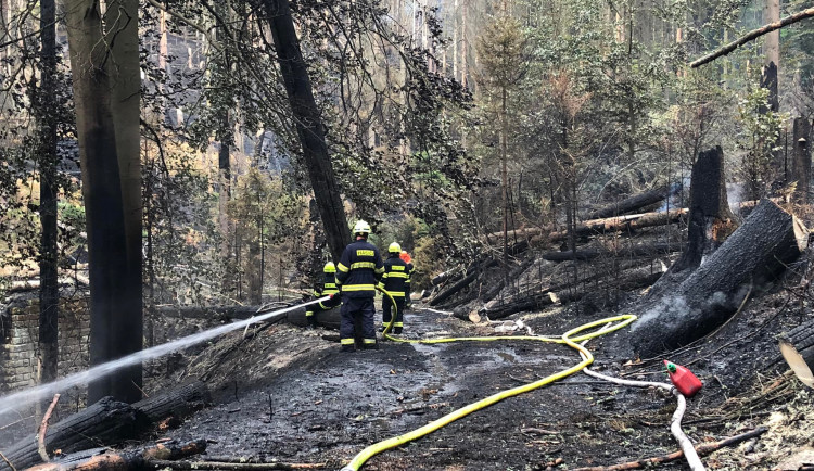 S požárem v Českém Švýcarsku bojují i desítky profesionálních a dobrovolných hasičů z Plzeňského kraje