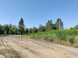 Bývalá konečná tramvaje se promění ve vstupní bránu do Borského parku, vznikne tam pavilon s kavárnou
