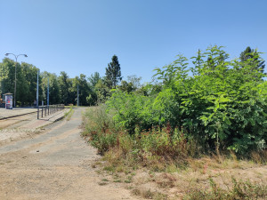 Bývalá konečná tramvaje se promění ve vstupní bránu do Borského parku, vznikne tam pavilon s kavárnou