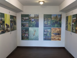 Památku světově uznávaného lékaře, který nečekaně zemřel, uctili přátelé uspořádáním výstavy