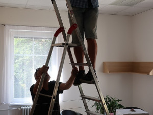 Netopýři neušetřili ani magistrát a obsadili jednu kancelář, výstraha před nimi stále trvá