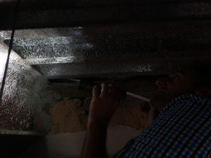 Netopýři neušetřili ani magistrát a obsadili jednu kancelář, výstraha před nimi stále trvá