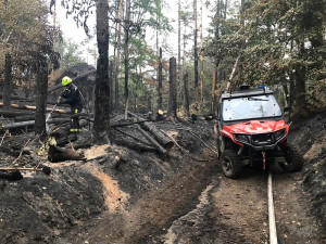 Největším problémem byl vítr a nesnesitelné vedro, hodnotí dobrovolní hasiči z Plzně zásah v Hřensku