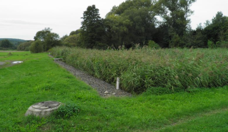 Kořenová čistička - ilustrační foto