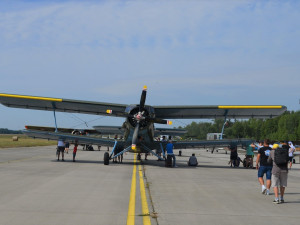 FOTO: Piloti protestovali proti rušení letiště, vyskládali na dráhu desítky letadel