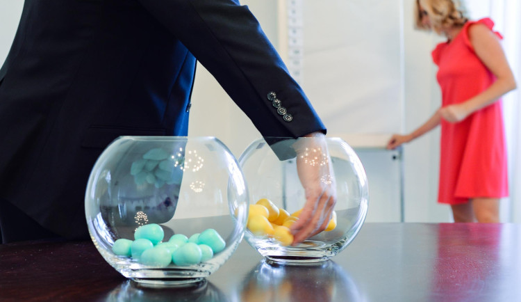 Losování volebních čísel