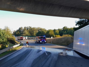 Kamion vletěl rychle do zatáčky a převrátil se na bok, hasiči museli z kabiny vyprostit psa