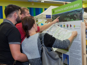 © 2019 Pavel Krikava