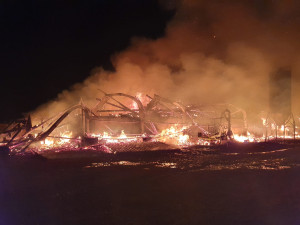 Při nočním požáru u hranic s Českem uhynuly desítky kusů dobytka