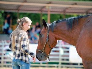 Vyhrajte vstupenky na agrosalon Země živitelka. Výstava začíná už 25. srpna