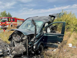 Vlak smetl na přejezdu dodávku s přívěsem, na kterém řidič převážel jeden kus skotu