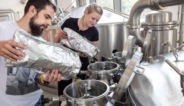 Dvojice dnešních sládků – Jana Müllerová z Městského pivovaru v Domažlicích a Tomáš Pokorný z Prazdroje pak dali dohromady výslednou recepturu.