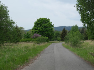 Na těchto pláních u Padrťských rybníků se budou sázet ovocné stromy