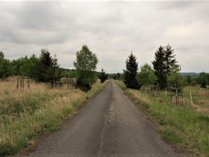Na těchto pláních u Padrťských rybníků se budou sázet ovocné stromy