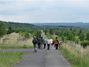 Na těchto pláních u Padrťských rybníků se budou sázet ovocné stromy