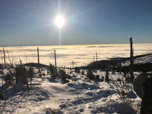 Čtyři lidi, tři psi a šest dní putování zasněženou Šumavou. O tom povypráví cestovatel Slávek Král, foto: Slávek Král.