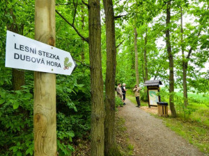 Rekreační zóny v Plzni se dočkají novinek, přibude ovocný sad, tůně i nové cesty