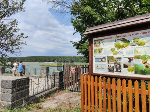 Rekreační zóny v Plzni se dočkají novinek, přibude ovocný sad, tůně i nové cesty