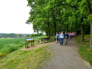 Rekreační zóny v Plzni se dočkají novinek, přibude ovocný sad, tůně i nové cesty