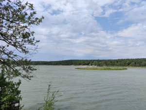 Rekreační zóny v Plzni se dočkají novinek, přibude ovocný sad, tůně i nové cesty