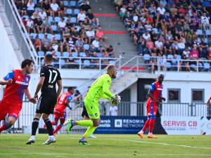 Vítězství jsme si zasloužili, byli jsme aktivnější a pro výhru si došli, myslí si Bílek po těsné výhře v Budějovicích