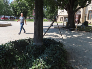 Při zátěžových testech se využíval i kmen vedle rostoucího stromu