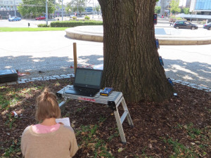 Kácet se zatím nebude mohutný dub před vstupem do muzea. Prošel zátěžovými testy na příští tři roky
