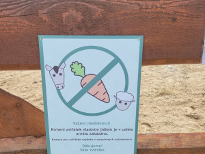 Oblíbený poník umíral ve strašlivých bolestech, návštěvníci farmaparku ho nakrmili pichlavým akátem