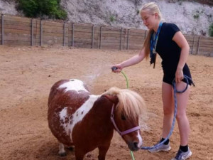 Oblíbená Pepina zaplatila životem za kolosální hloupost nezodpovědných návštěvníků