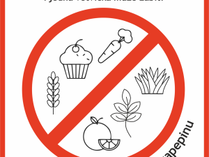 Farmapark spouští kampaň #zapepinu, jejímž cílem je zabránit tomu, aby se neopakovalo, že někdo „v dobré víře“ ublíží zvířeti