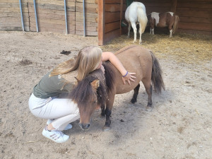 Oblíbená Pepina zaplatila životem za kolosální hloupost nezodpovědných návštěvníků