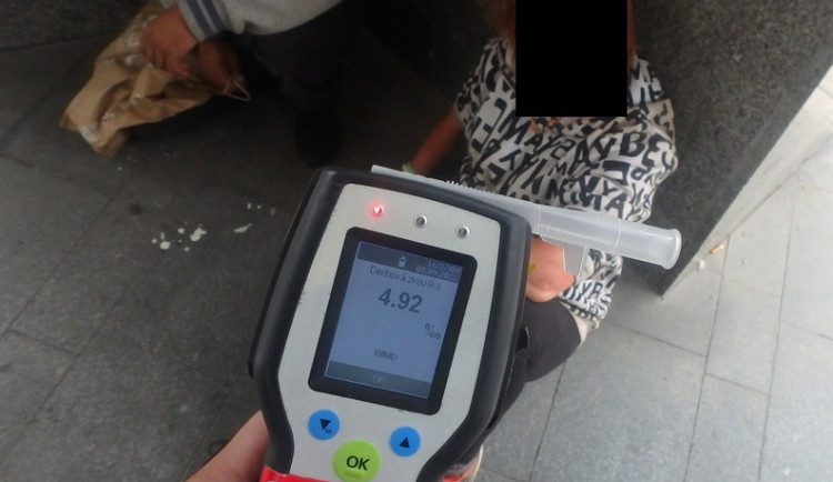 U pomníku Díky, Ameriko se válela namol opilá cizinka, nadýchala skoro pět promile