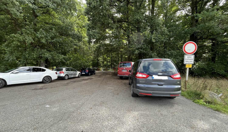 Kvůli vašim autům se nedostaneme do lesů, zlobí se městští lesníci na houbaře