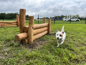 Pejskaři se radují, čtvrtý obvod ve Špitálském lese otevřel své první psí hřiště za 784 tisíc korun