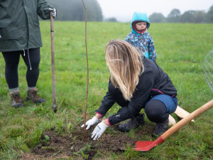 Tisíce dobrovolníků se zapojily do sázení ovocné aleje na Padrťské pláni, neodradil je ani vytrvalý déšť