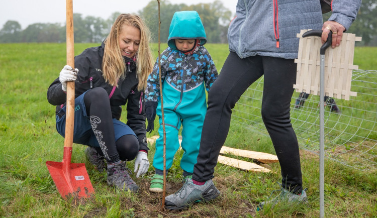 Tisíce dobrovolníků se zapojily do sázení ovocné aleje na Padrťské pláni, neodradil je ani vytrvalý déšť