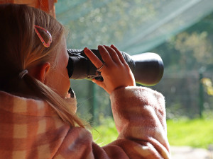 Plameňáci i oblíbení lemuři kata mají v plzeňské zoo nové výběhy