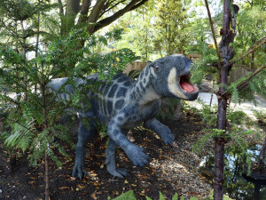 Plameňáci i oblíbení lemuři kata mají v plzeňské zoo nové výběhy