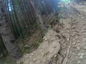 Nejhorší devastace lesů za poslední roky, hodnotí spolky hospodaření městské firmy v šumavském národním parku