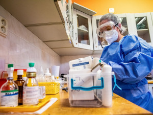 Koronavirus v Plzeňském kraji opět nabírá na síle, testy za týden odhalily 937 nakažených
