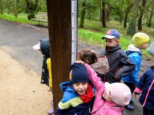 Oblíbený lesopark láká na novou naučnou stezku, dětem ukáže život včel i další zajímavosti
