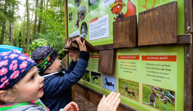 Oblíbený lesopark láká na novou naučnou stezku, dětem ukáže život včel i další zajímavosti