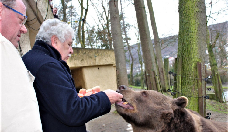 Václav Chaloupek na oslavě narozenin medvědů v berounském medvědáriu
