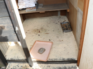 Pochybní obchodníci kupčili s umírajícími štěňaty, nechtěná zvířata házeli do kontejneru