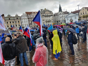 FOTO: Proti vládě přišly v Plzni protestovat stovky lidí, akce se omezila na sledování demonstrace v Praze