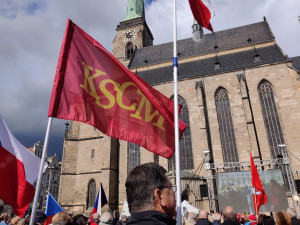 FOTO: Proti vládě přišly v Plzni protestovat stovky lidí, akce se omezila na sledování demonstrace v Praze