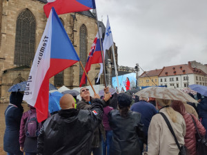 FOTO: Proti vládě přišly v Plzni protestovat stovky lidí, akce se omezila na sledování demonstrace v Praze