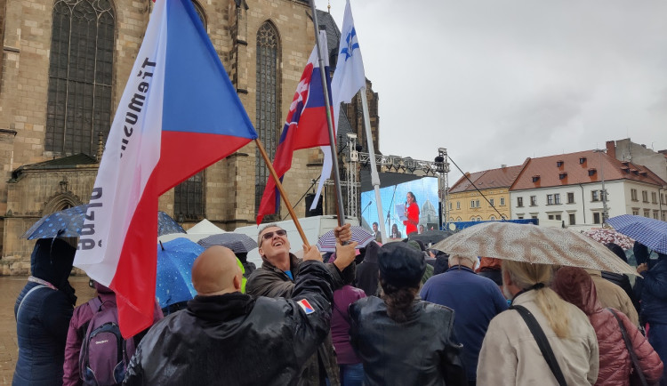 FOTO: Proti vládě přišly v Plzni protestovat stovky lidí, akce se omezila na sledování demonstrace v Praze