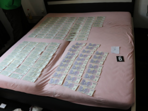 VIDEO: Policie odhalila otřesný byznys s nemocnými štěňaty, gang přeprodával zvířata po internetu