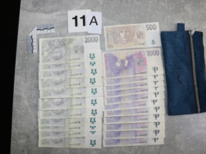 VIDEO: Policie odhalila otřesný byznys s nemocnými štěňaty, gang přeprodával zvířata po internetu